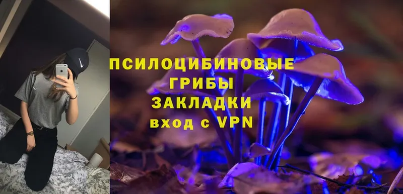 Галлюциногенные грибы MAGIC MUSHROOMS  Мирный 